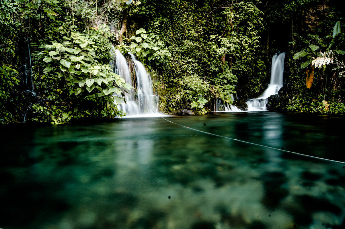 greentrressw-aterfall.jpg