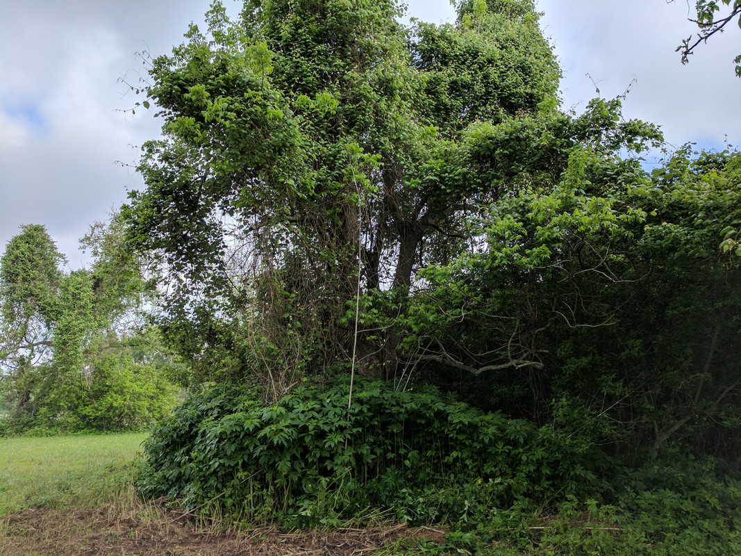 CA37DF7E-D192-45D6-B50C-C980FC20EDC3