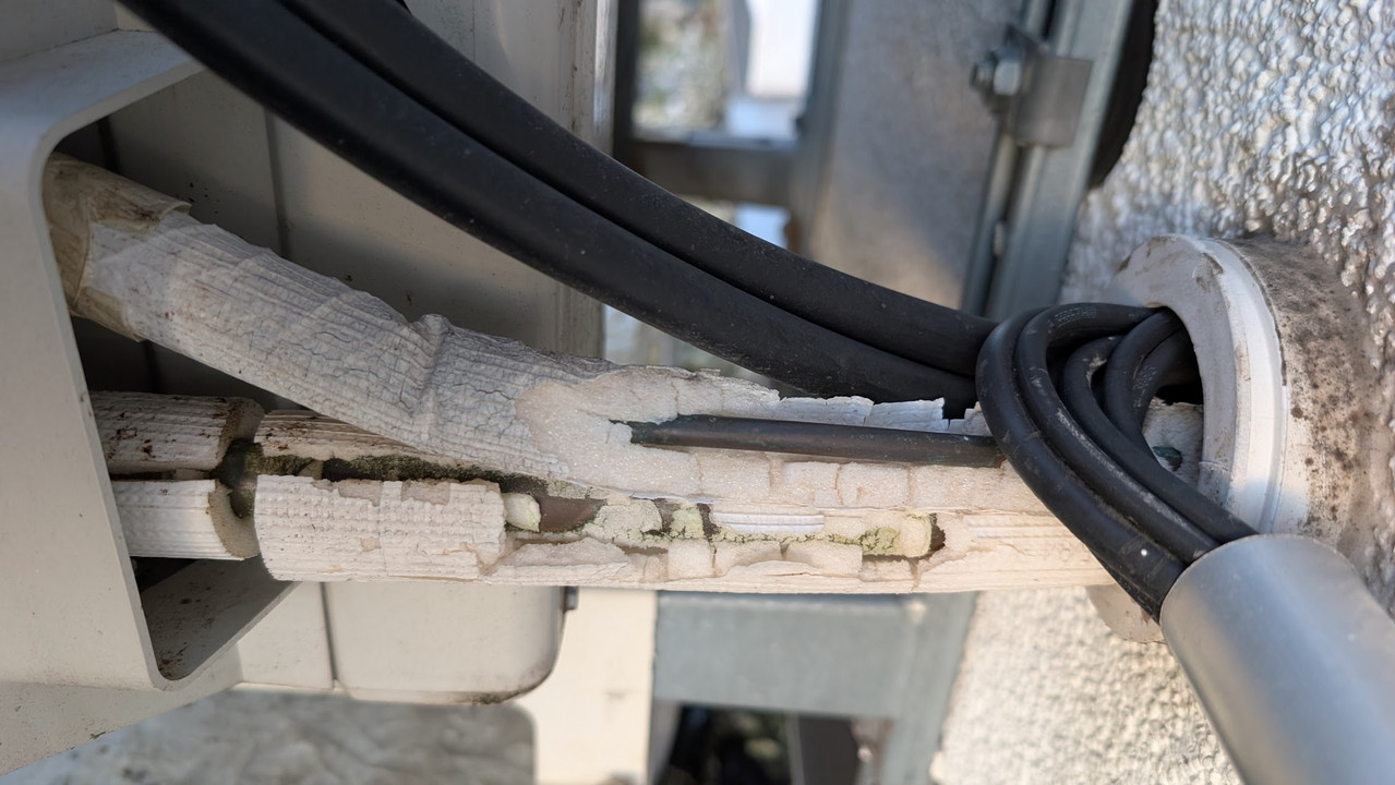 PXL 20251217 072939860 MP