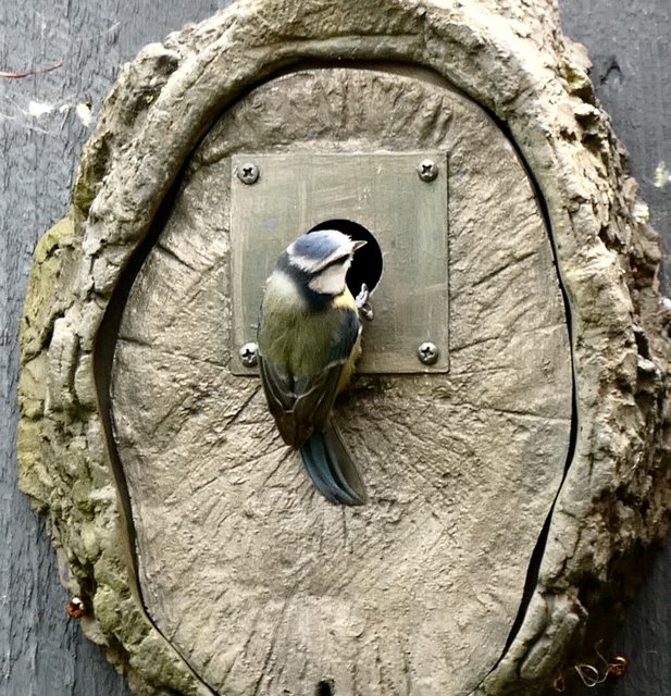 8CDAF4CA-1AD9-4212-9527-1F5EA301CDD3