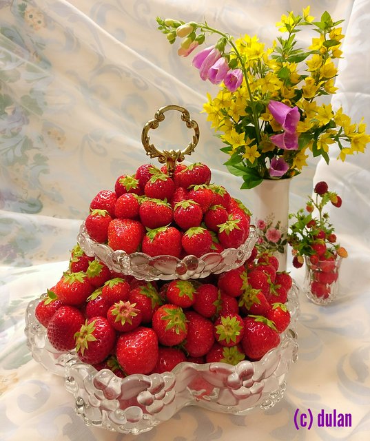 [Image: IMG-20240708-013622.jpg]