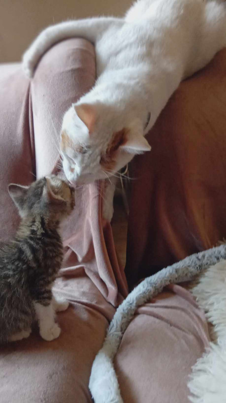 450378042_502871972243872_7727038456247969650_n