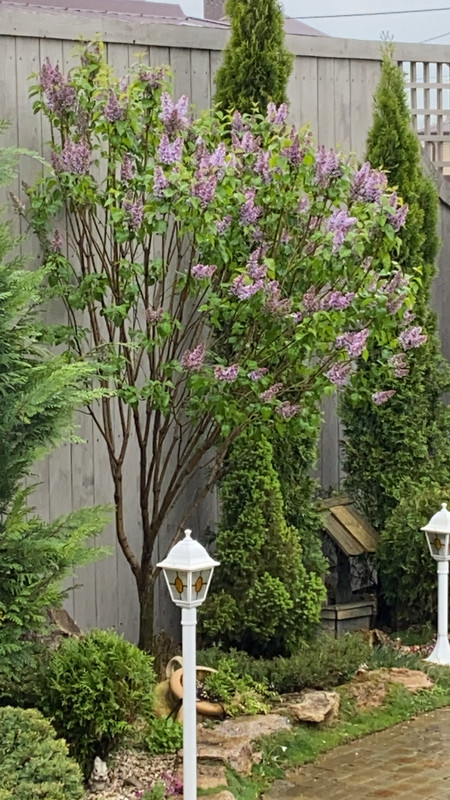 60619986-9F6C-4BAB-B3B4-71A6A17396B3