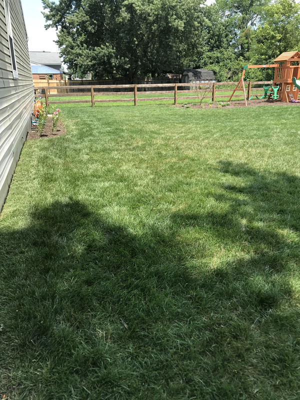 4B9B990E-B611-405D-AE09-8819E54F30C9