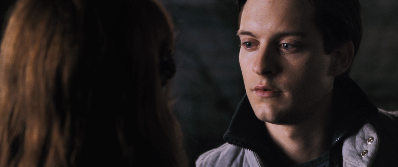 11 Человек паук 2 2004_BDRip 1080p.mkv_20231112_222109.854