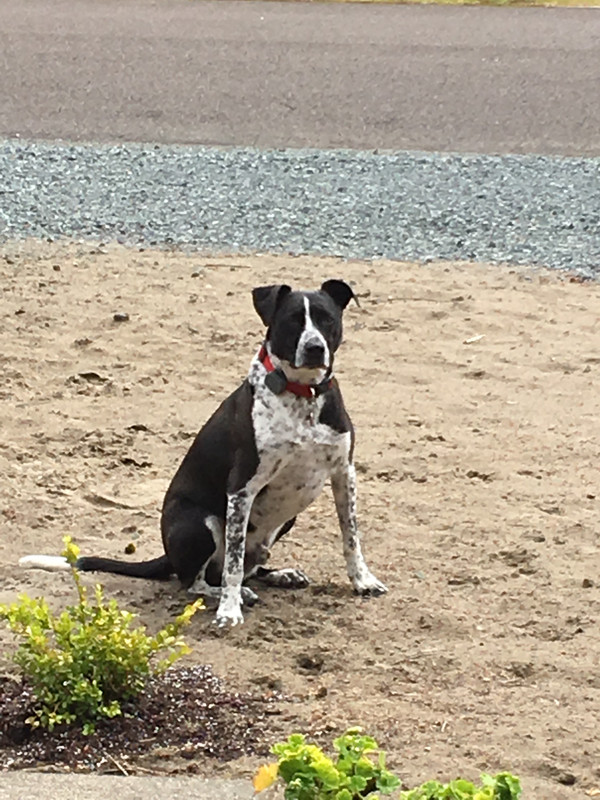 6BD3EF04-2B6C-4EF0-AD4C-BA859DACA617