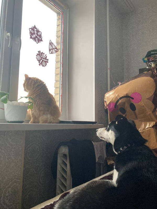 42F3B020-57A0-47CF-9238-F31AFAE4FF02