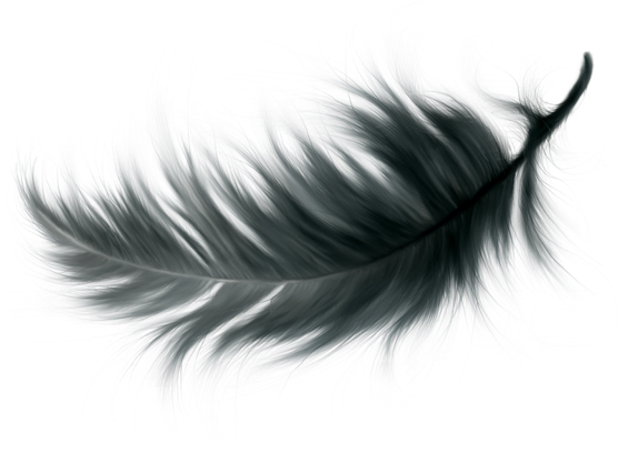 Autumn Witchery (91)