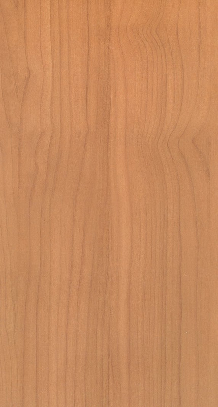 wood-texture-3dsmax (184)