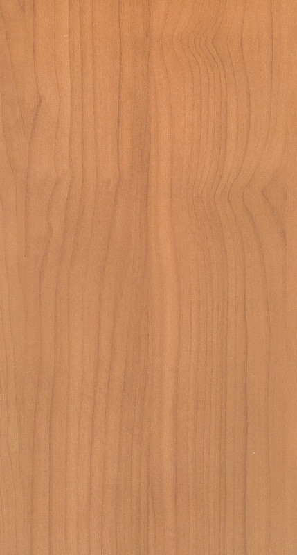 wood-texture-3dsmax-184