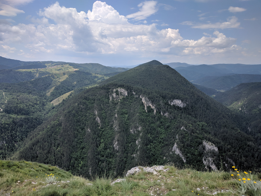 IMG_20190628_132049