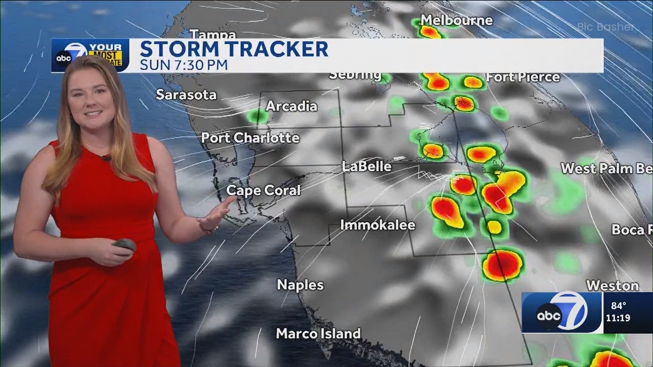 06.09 - 04.00.00 - ABC7 News @ 11pm - Sa  ᴺᵉʷ. No Description Info.ts_snapshot_24.43.190
