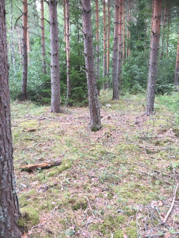 C843C602-5B6D-417A-A836-DF8B1C313C77