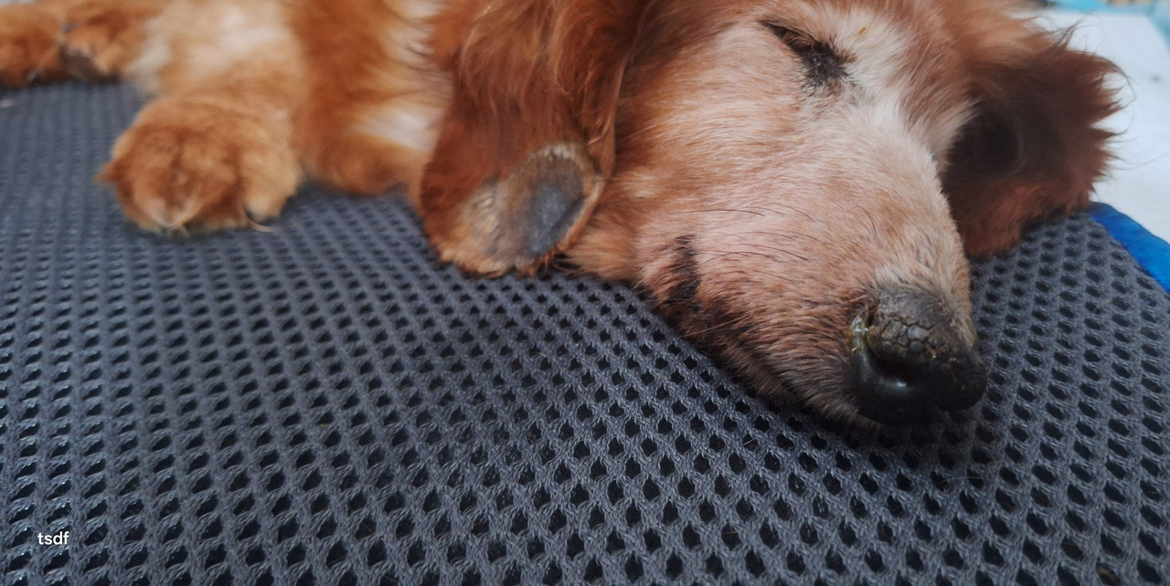 [Image: 20250528-100725.jpg]