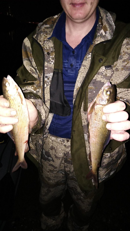 IMG_20190805_222009_192