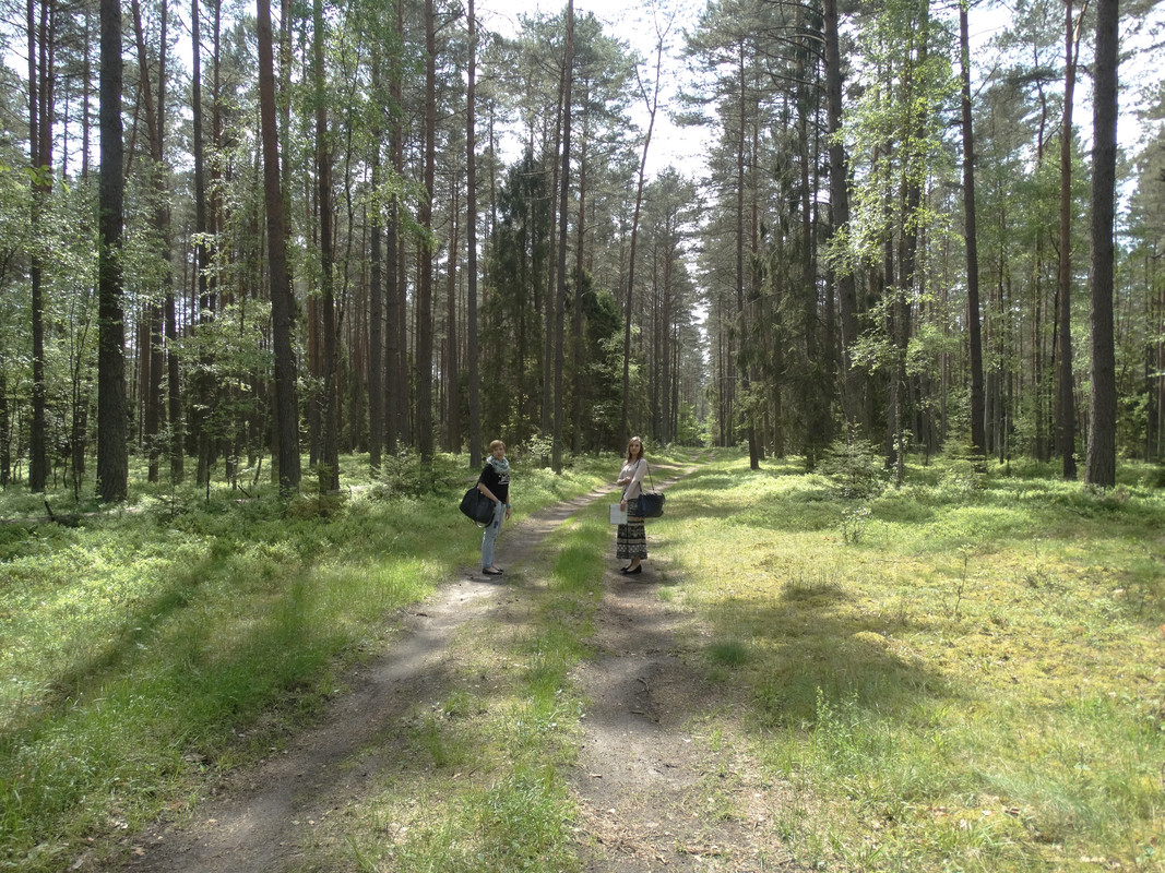 01 - DSC04073 (Czesio1)