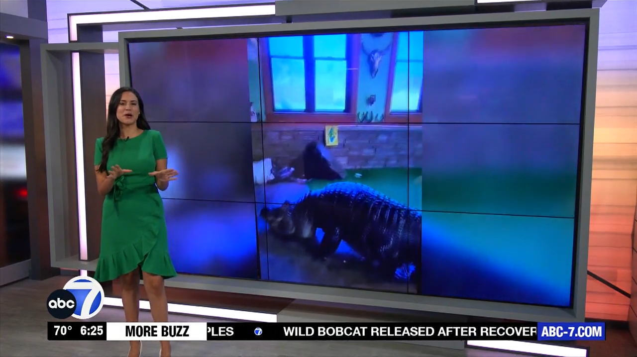 Abc7 More In The Morning Wkn 6Am Su 20240317 10001100-1.mp4_snapshot_21.35.926