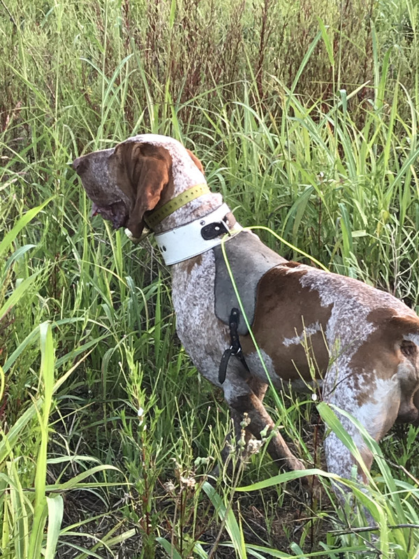 FCF557DE-E857-4DE3-A7D3-D9353780EE65