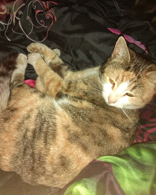 photo5307714013553078858