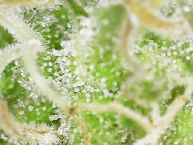 Snapshot@2021_1101_162819