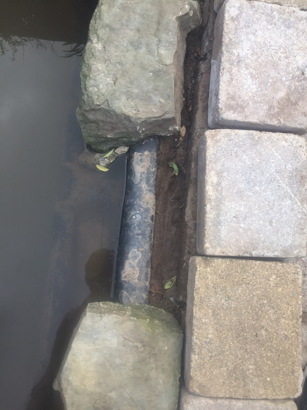 pond under rock by day