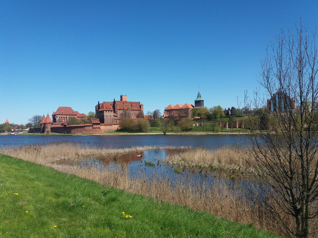 09.03 - 20170430_141636 (Agnieszka Czesiowa)