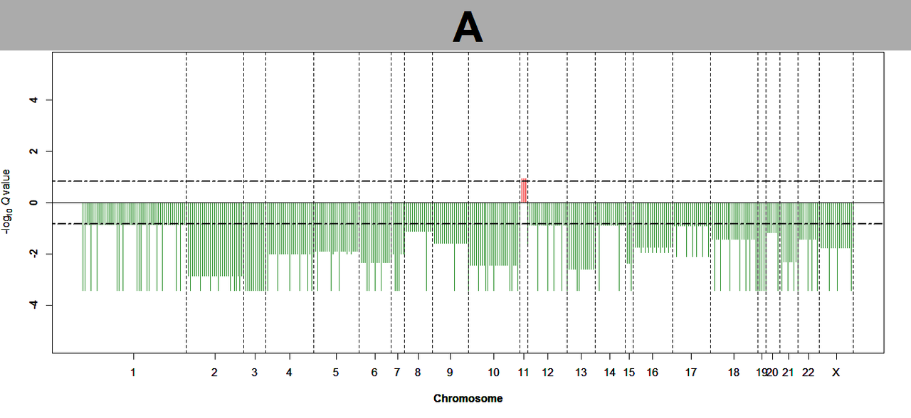 SCNA_output