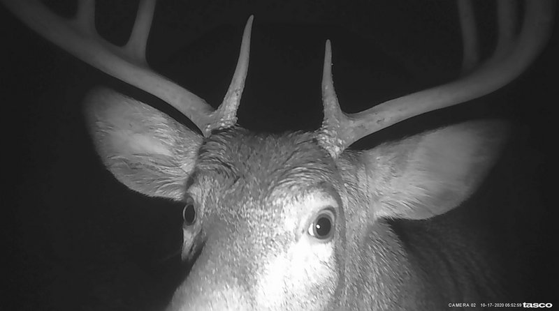 1907753B-71E3-4E20-B1EF-E52DC383DA53