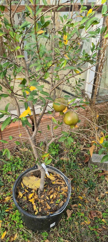 373070658_2379388535602115_6246909364117361718_n