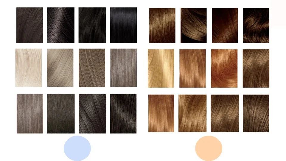 Exemple de 12 couleurs de cheveux chauds vs 12 couleurs de cheveux froids