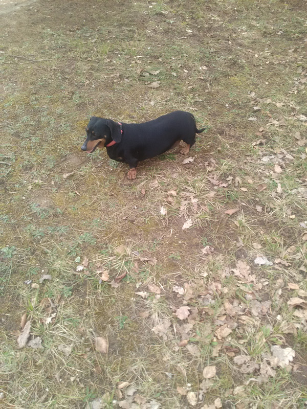 [Image: IMG-20230326-144245.jpg]