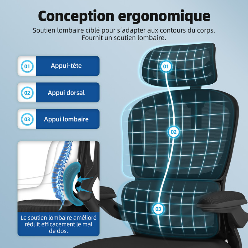 104€ sur Chaise de Bureau Inclinable, Appui-Tête Ajustable 10cm, Dossier  avec Soutien Lombaire Ergonomique - Daccormax - Noir - Achat & prix