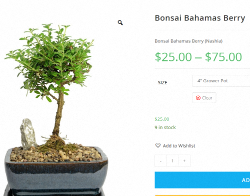 [Image: 2024-09-23-084847.png]