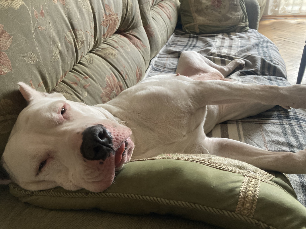 E1504F6B-8D1D-4BC5-9599-EFA49A75E350