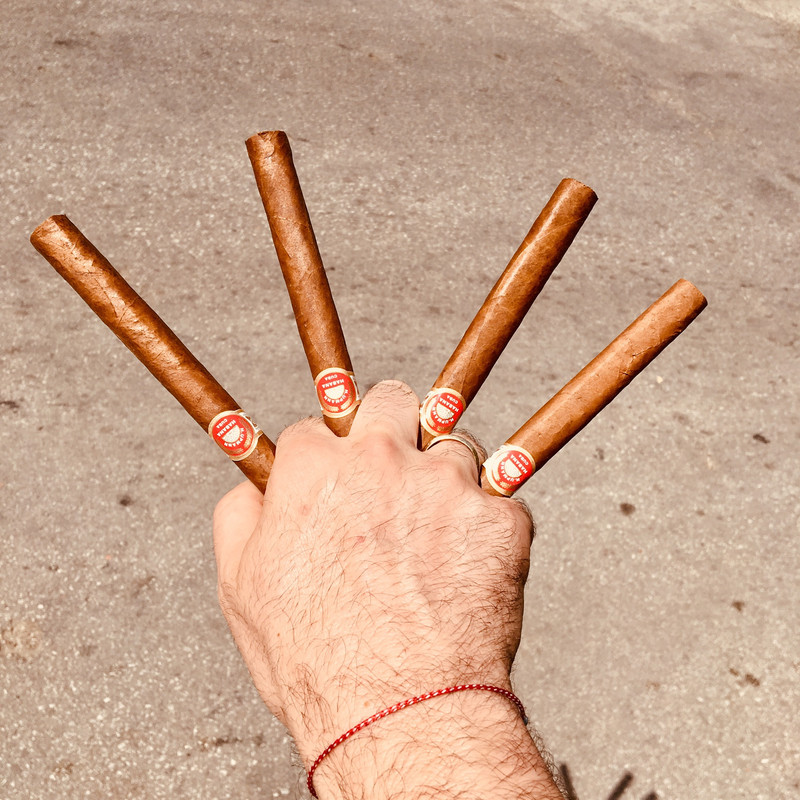 221EE1D5-E12B-4794-AC5E-E07653013850