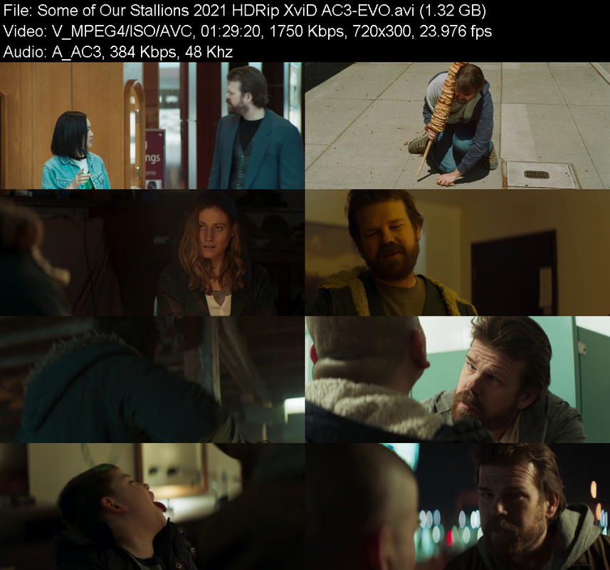 some-of-our-stallions-2021-hdrip-xvid-ac