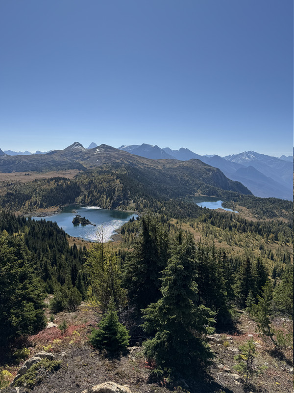 IMG-6878.jpg