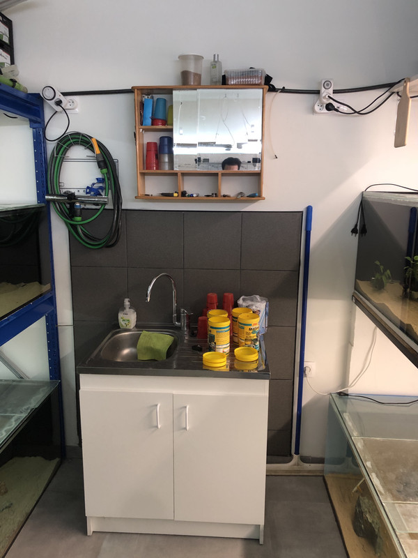 WP5DGhWSSoiM3ZJ79pNSVw