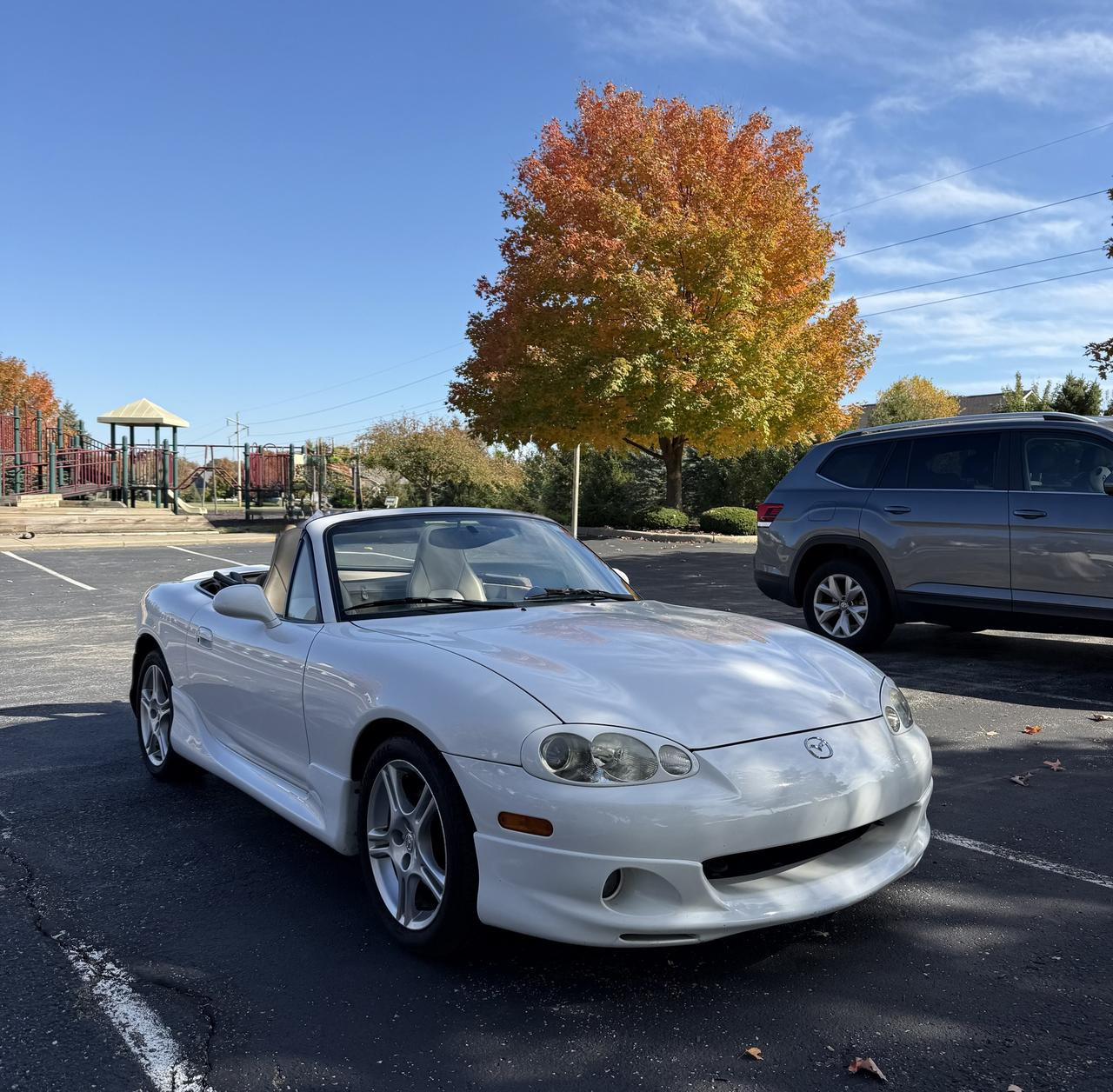 571767506 10162459878223870 8551189419896705783 n