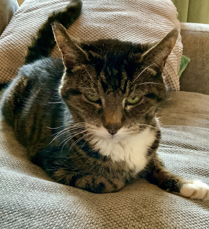 F4ED69AC-343F-4608-B82E-5A9182E2B3F0