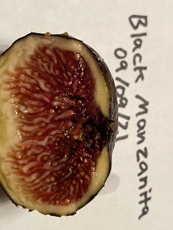 5F18EB6B-F073-4832-8D19-4D38E563709C