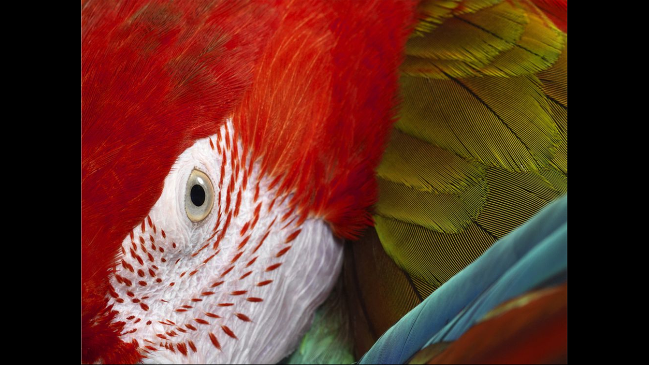 https://i.postimg.cc/Jhc4w4YL/Capture-d-cran-114.png