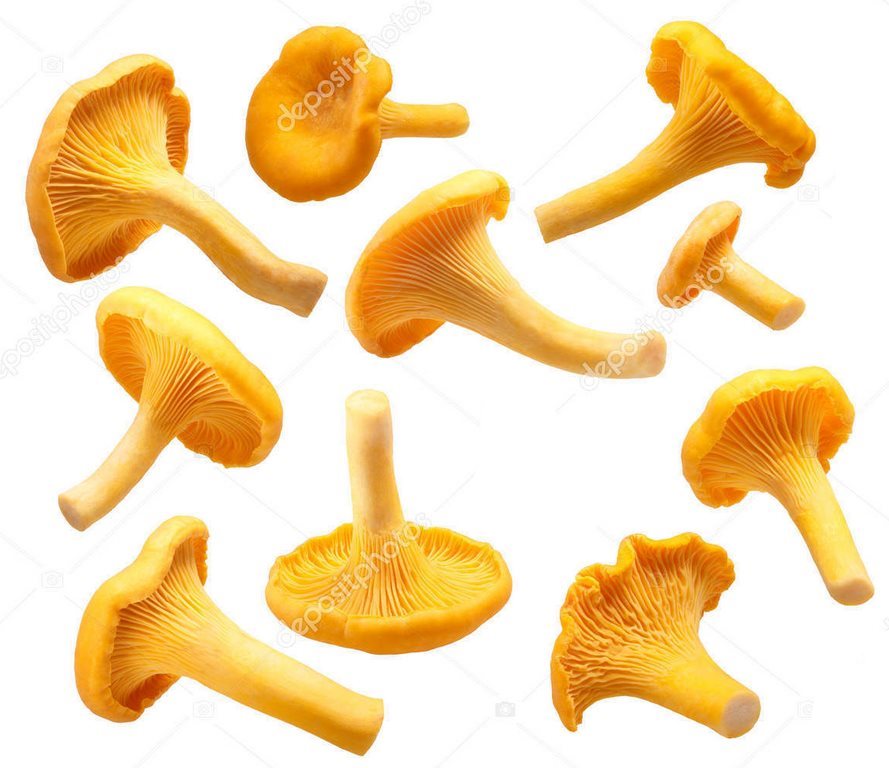 img7ab351ebf77725685eb1a484ac0f9b85