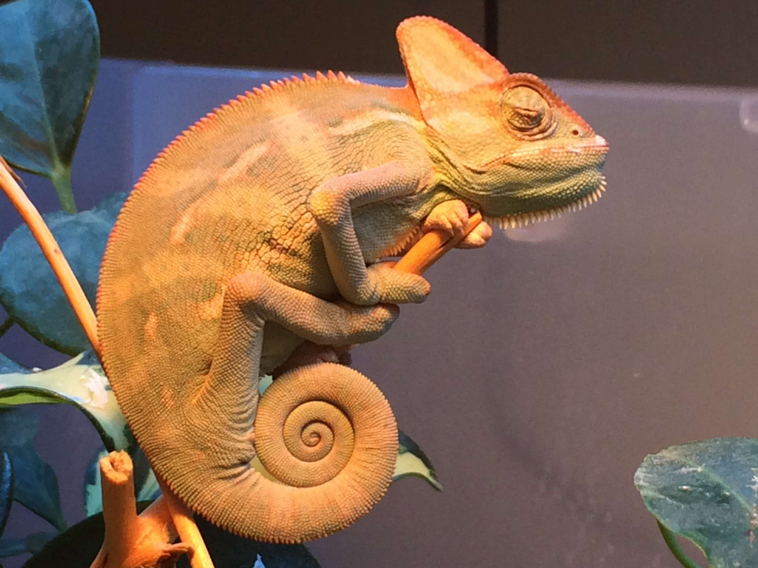 6DBB6F1F-EA2A-4F5D-9B29-53340ECDE511