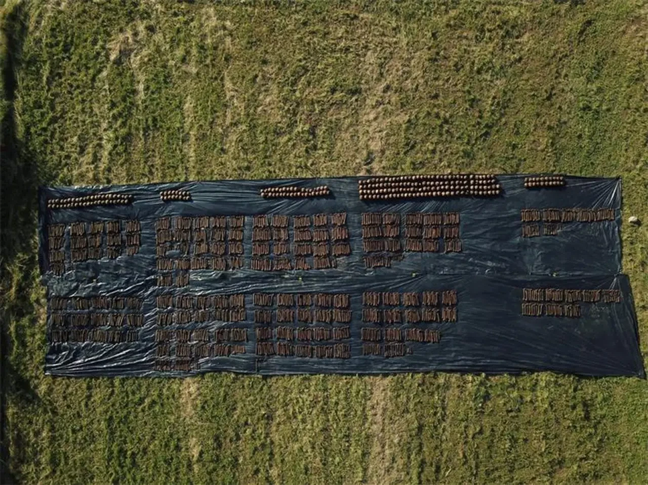 Exhumados en Croacia 800 cadáveres de la Segunda Guerra Mundial