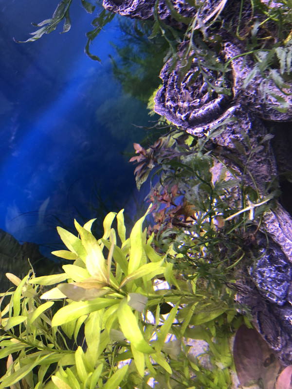 62FC12D6-05B1-4F29-8EF0-D2004B6F8B37