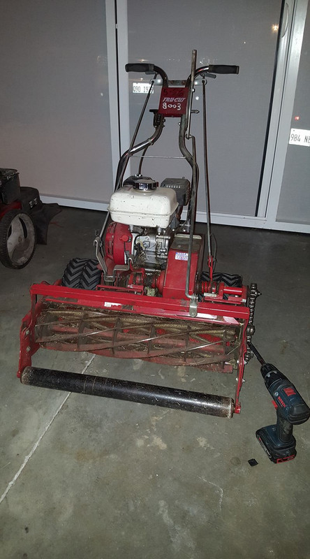 18953429_300776510373053_3093540149786024669_o