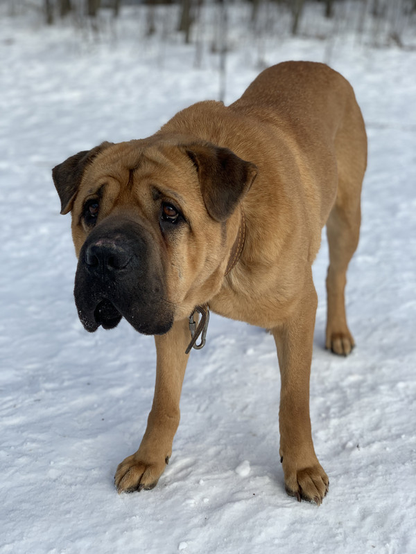 863D4F0E-9396-48B7-936A-7BA30C5CCBF3