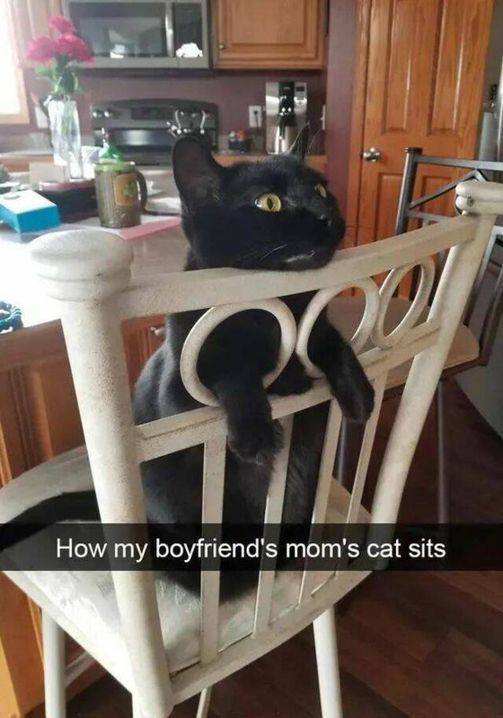 picdump-kw10-2025-112.jpg