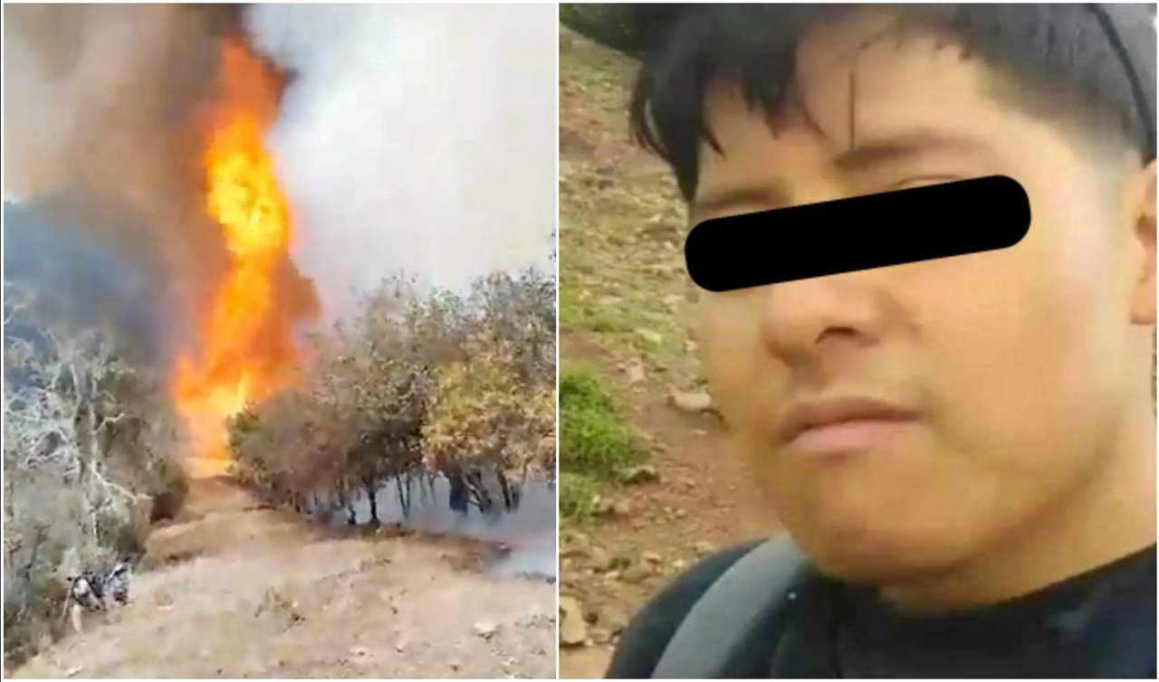 Detenido por provocar incendio al intentar matar hormigas con gasolina